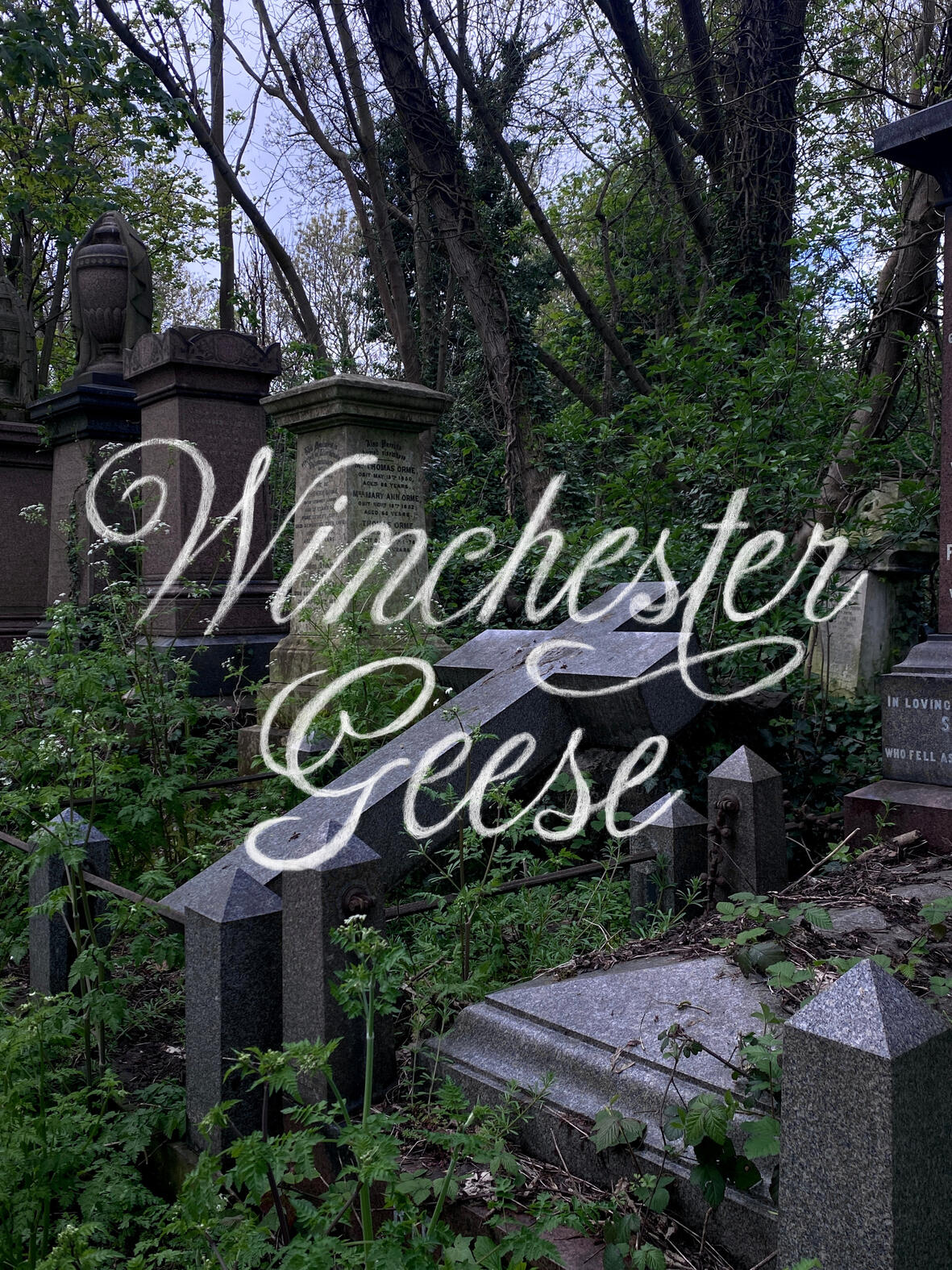 Winchester Geese (series)